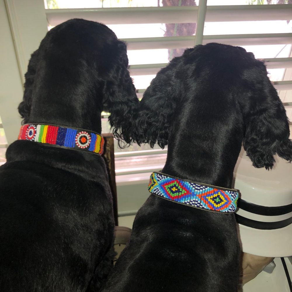 Brenda Dog Collar Dog Collars