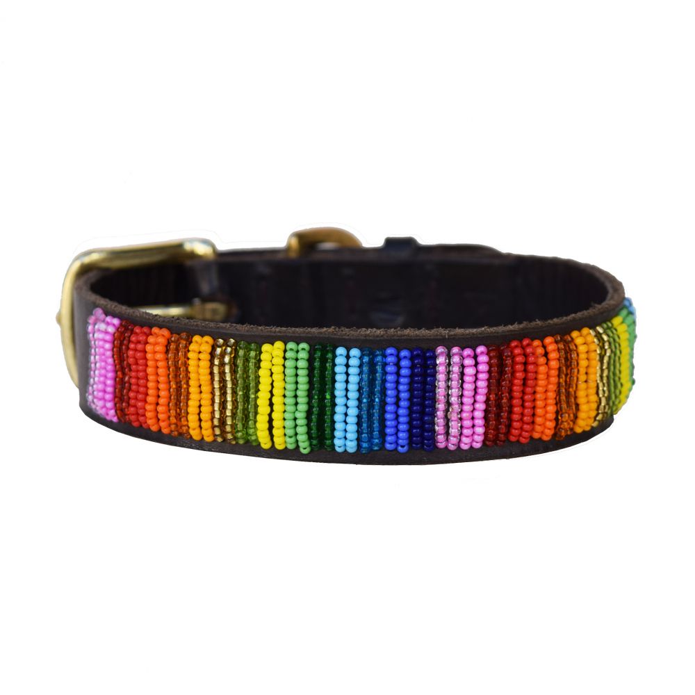 Rainbow Dog Collar Dog Collars