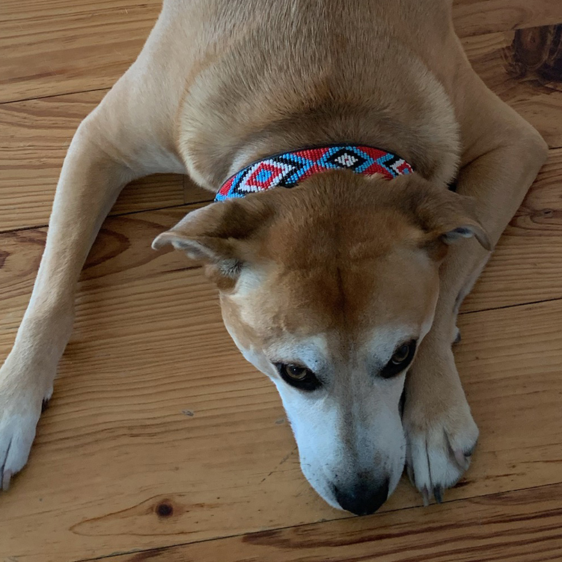 Diamond Red Dog Collars