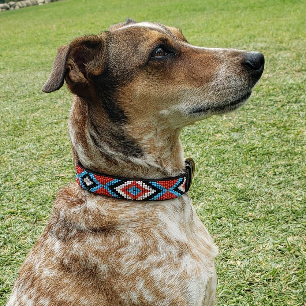 Diamond Red Dog Collars