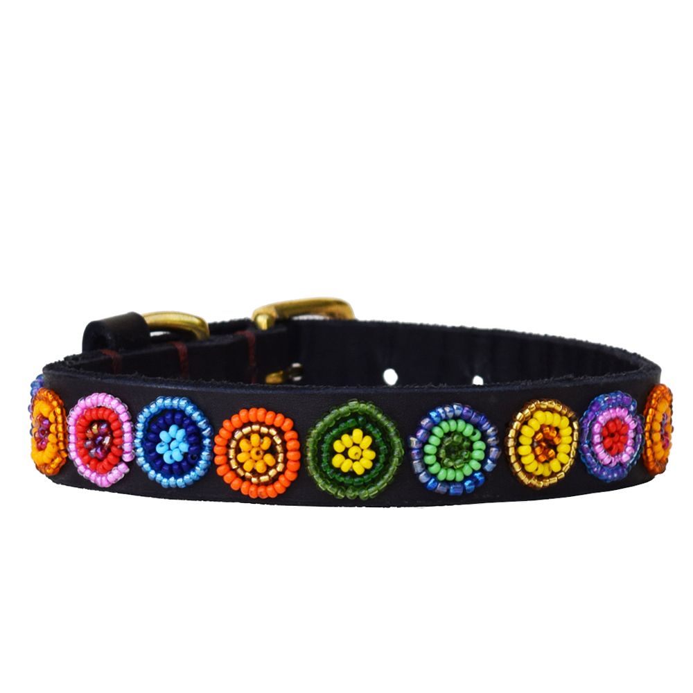 Circle Shine Dog Collar Dog Collars