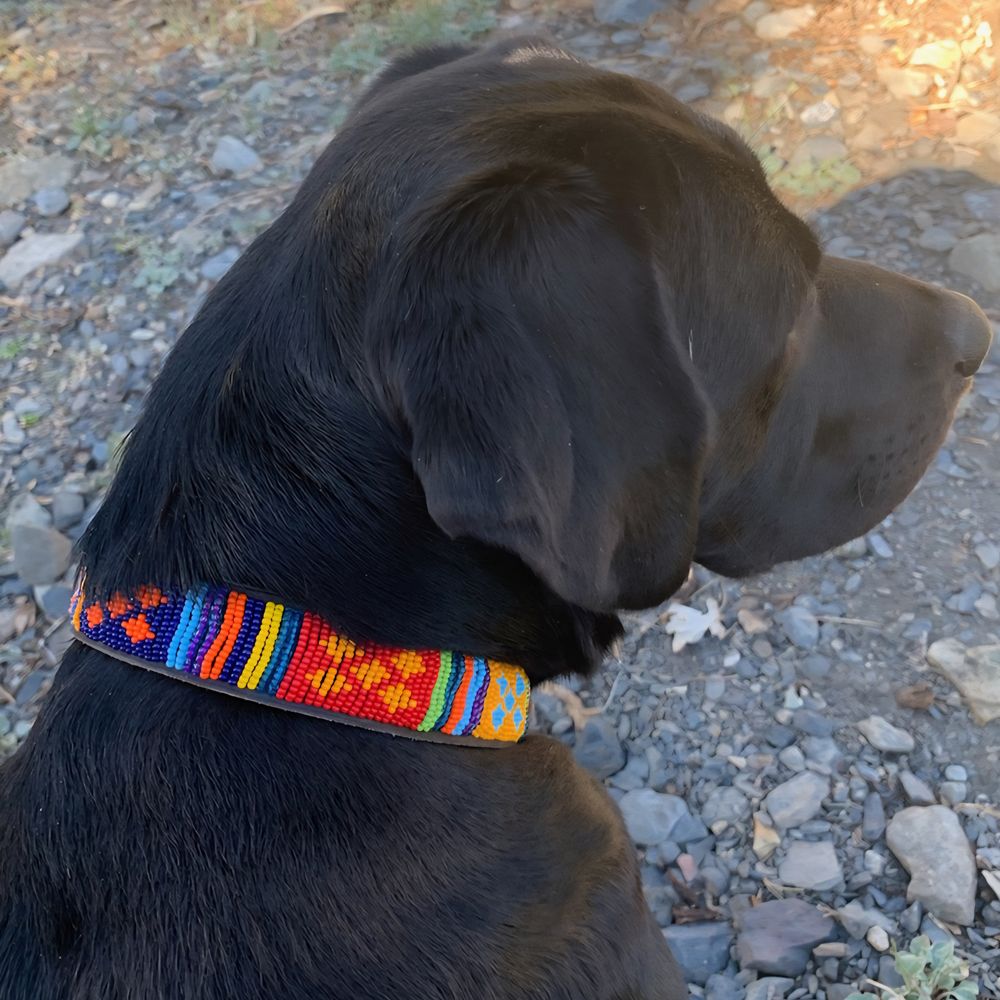 Guatemala Dog Collar Dog Collars