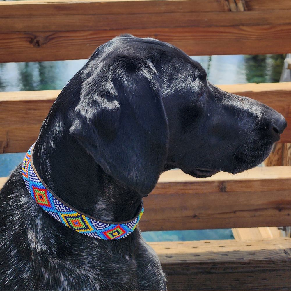 Brenda Multi Dog Collar Dog Collars
